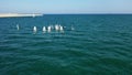 Training with optimist dinghy sailing boats near the Real Club Nautico de Valencia, Spain.